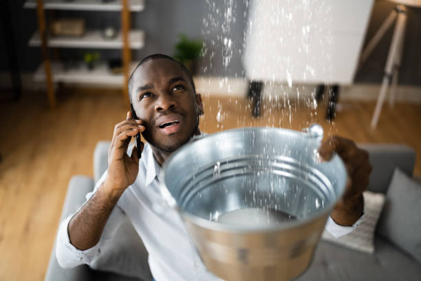 Best Flood restoration services  in Elmo, TX
