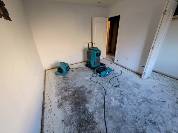 24/7 water damage repair in TX