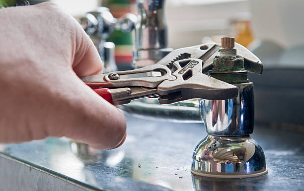 Best Ceiling water damage repair  in Elmo, TX