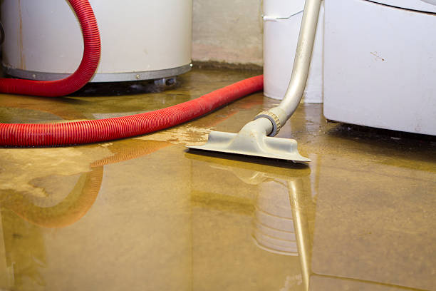 Best Flood damage cleanup  in Elmo, TX