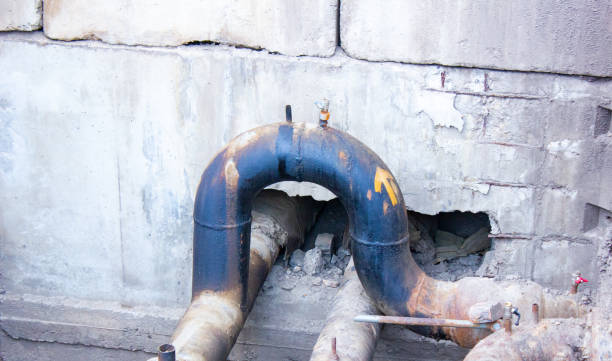 Best Basement water damage restoration  in Elmo, TX